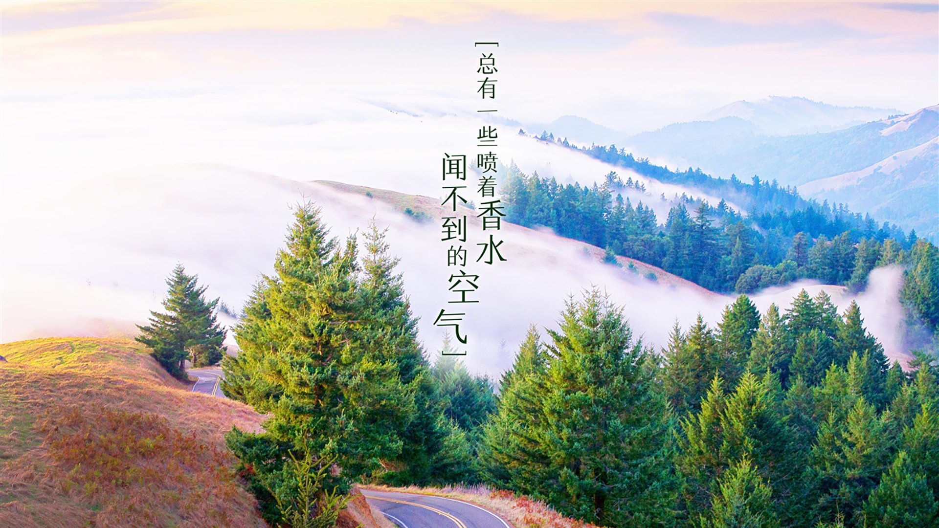 化纤工厂排名前十（全国化纤厂十大排名最新）