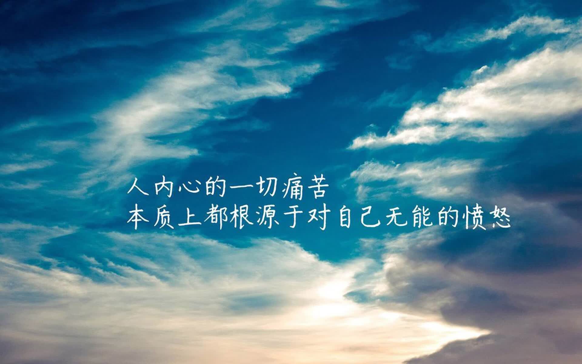化纤丝是什么意思（化纤丝棉是什么材料）